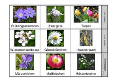 Leporello-Frühblüher-Frühlingsblumen-2.pdf